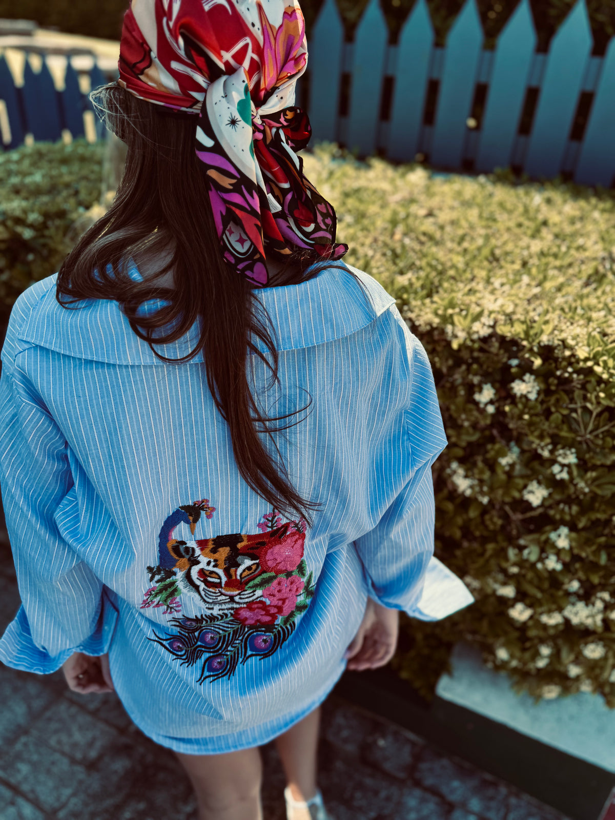 Camisas
