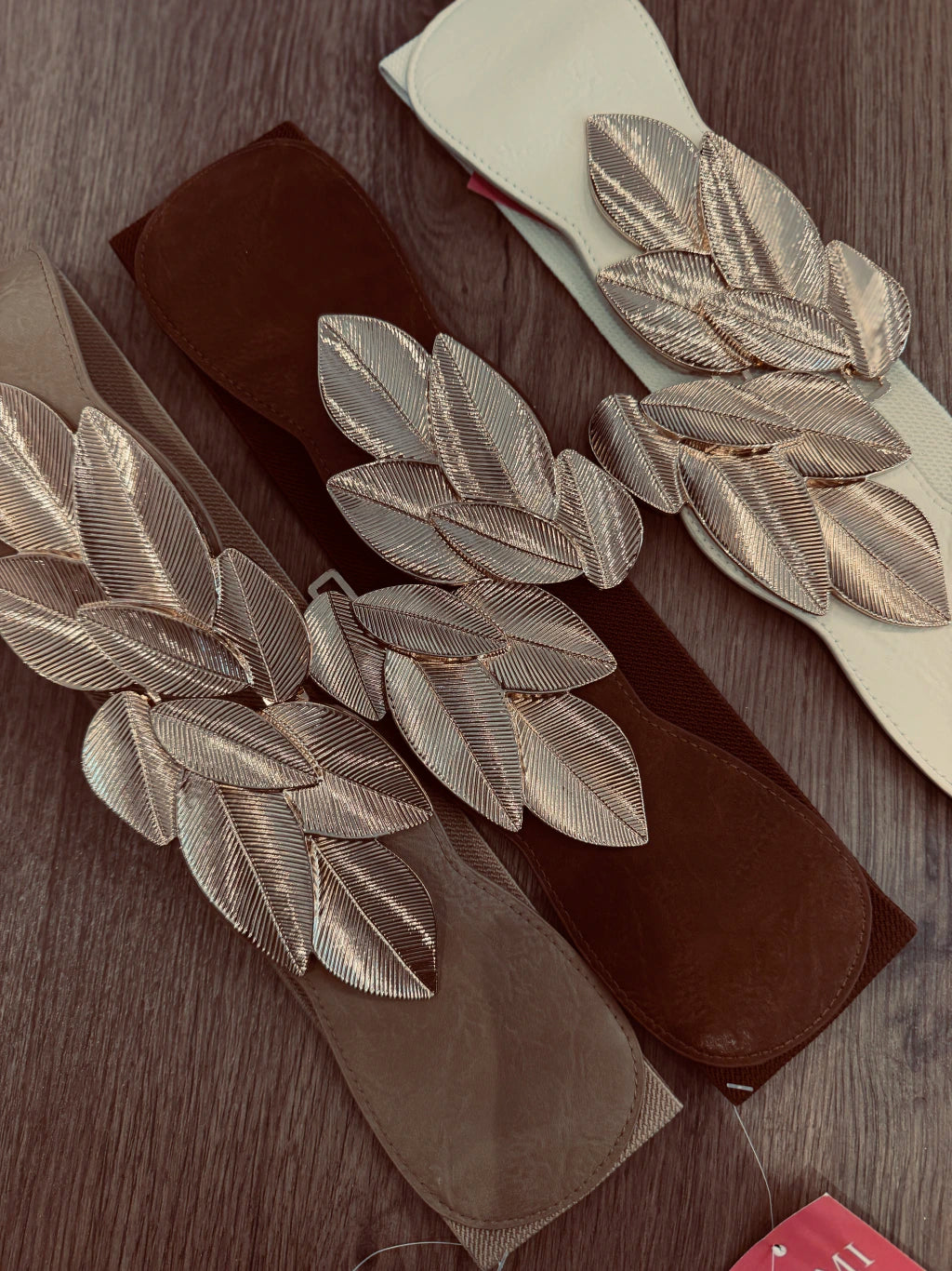 Cinto Sogia