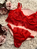 Conjunto Ann